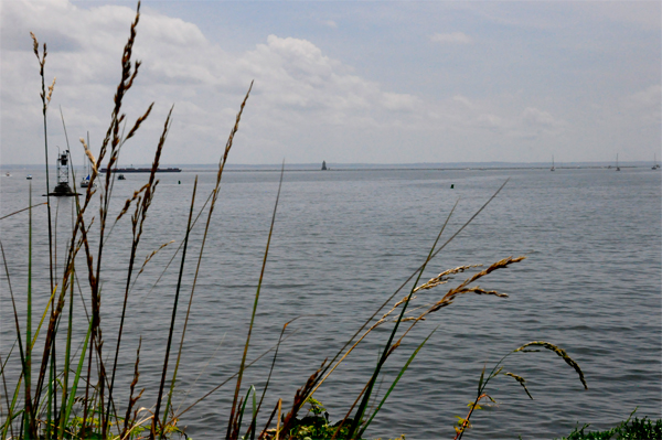 The Stamford Harbor Lighthouse